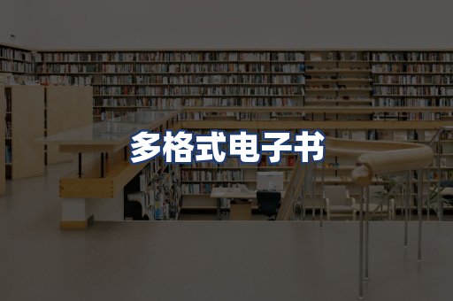 多格式电子书