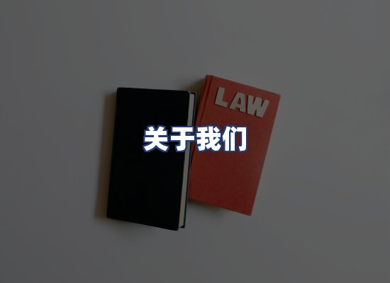 关于我们